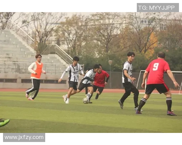 成都足球队杯赛中的团队协作表现分析与评价探讨